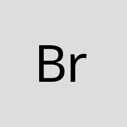 Bristet jhons