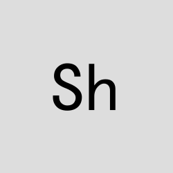 Shihab Shamoon